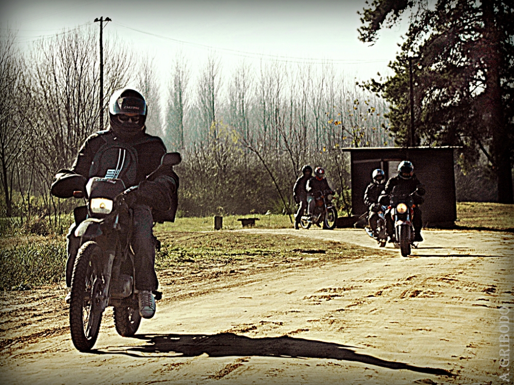 "El camino" de Agustn Gribodo