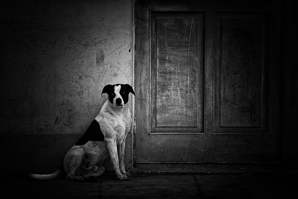 "Esta puerta es mia..." de Pablo Mozzarelli