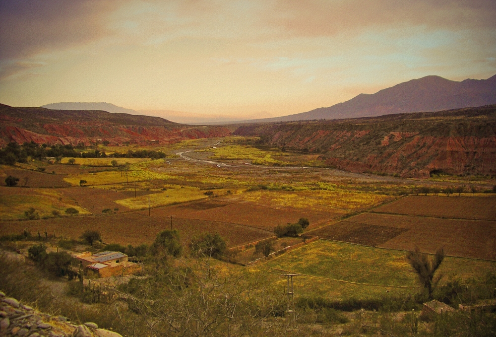 "Valle del ro Calchaqu (Salta)" de Mercedes Pasini