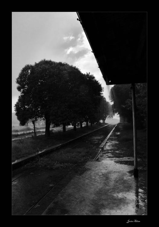 "da de lluvia" de Javier Adam