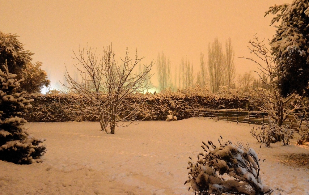 "Noche nevada en Vistalba" de Andrs Venditti