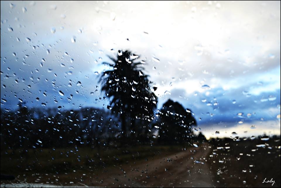 "De mi serie de hoy...Llueve en el camino..." de Maria Laura Bausa