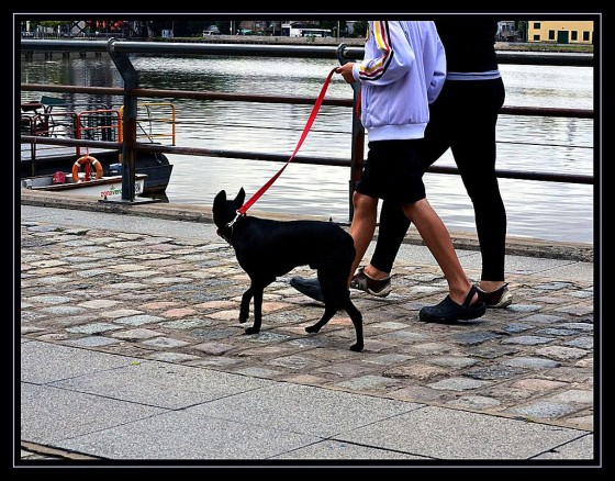 "Paseo maturino ...." de Arturo H. Pea