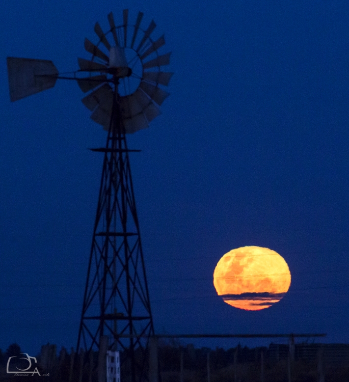 "The moonrise" de Damin Avila