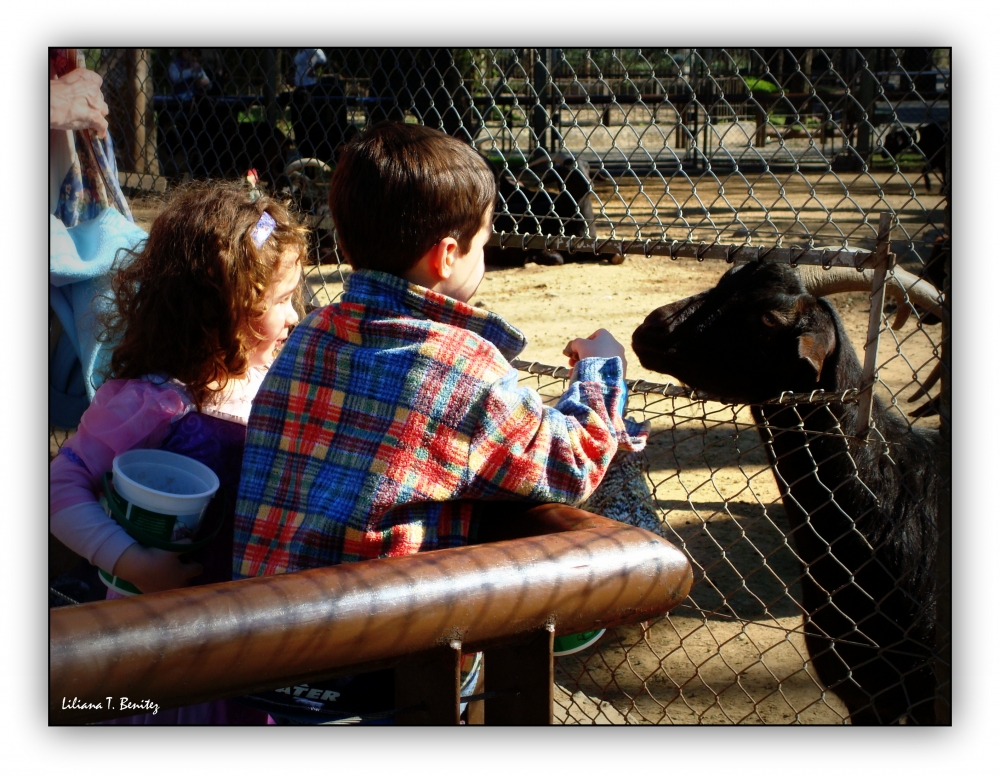 "En el Zoo..." de Liliana T. Benitez