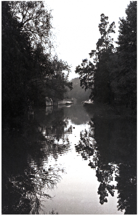 "Reflejos" de Jorge Vicente Molinari