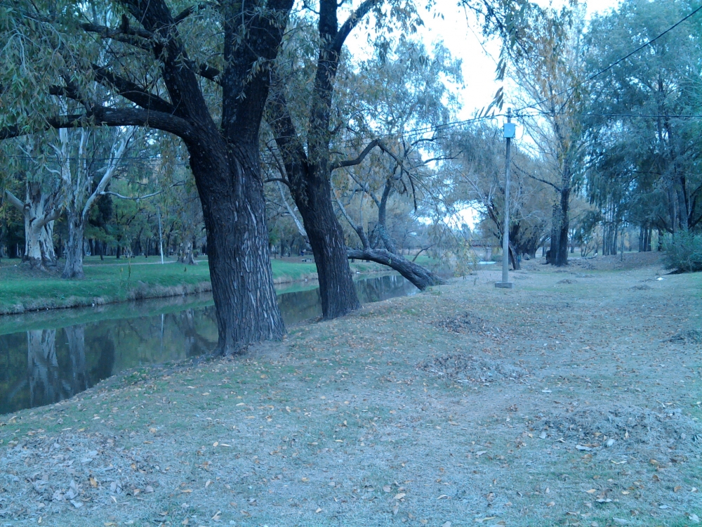 "Tarde de otoo" de Fernanda Kaznacic