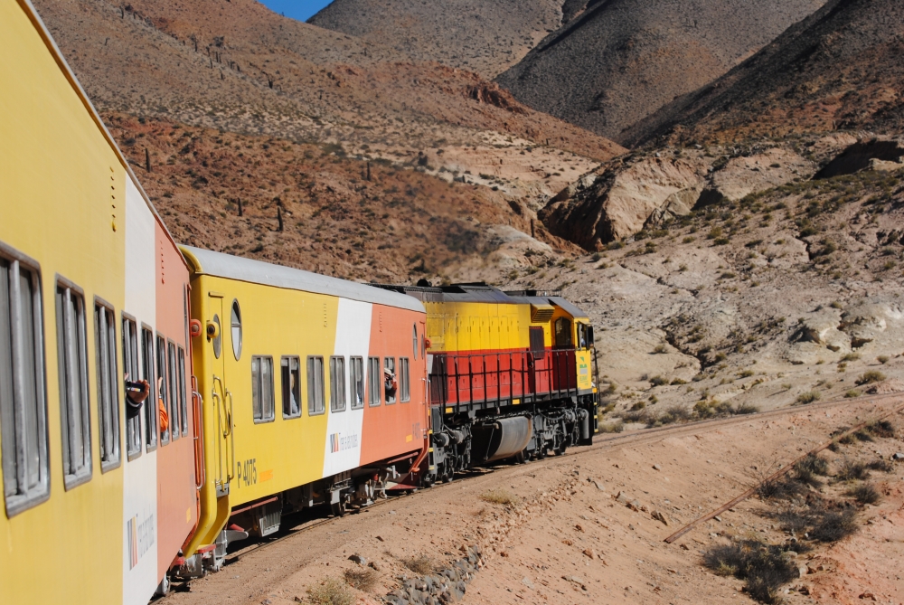 "el tren" de Silvana Sanchez