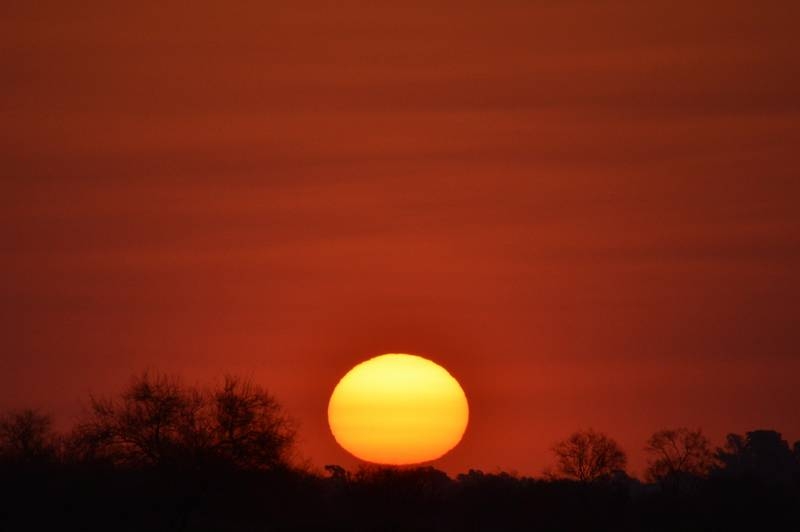 "Ocaso de invierno" de Silvina Iiguez