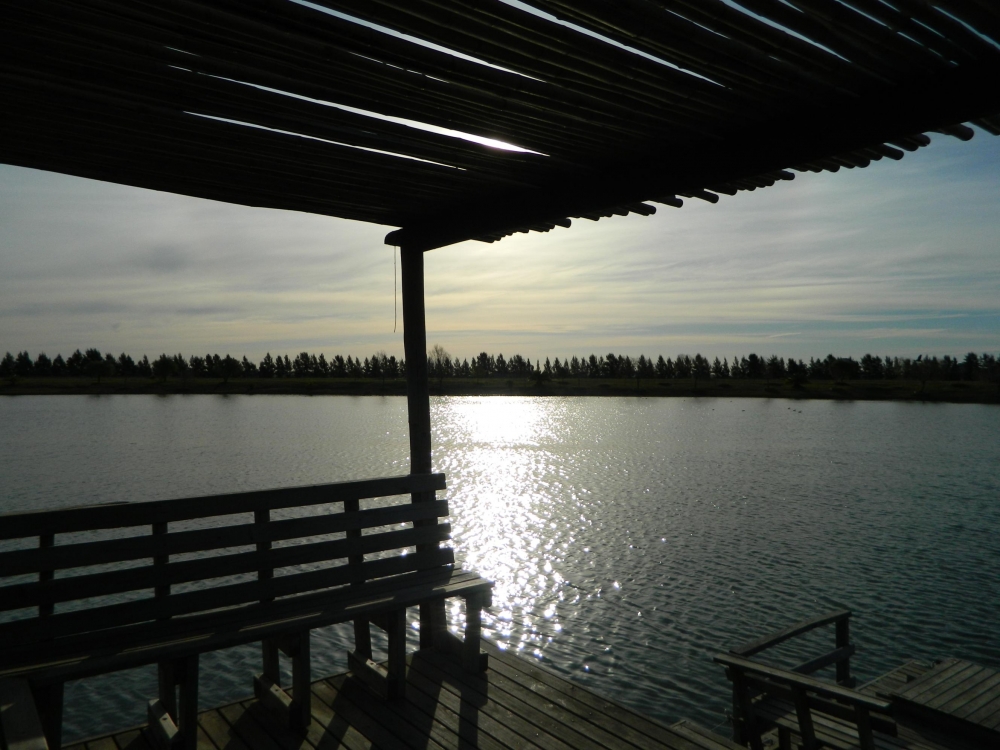 "En el muelle" de Silvana Garat