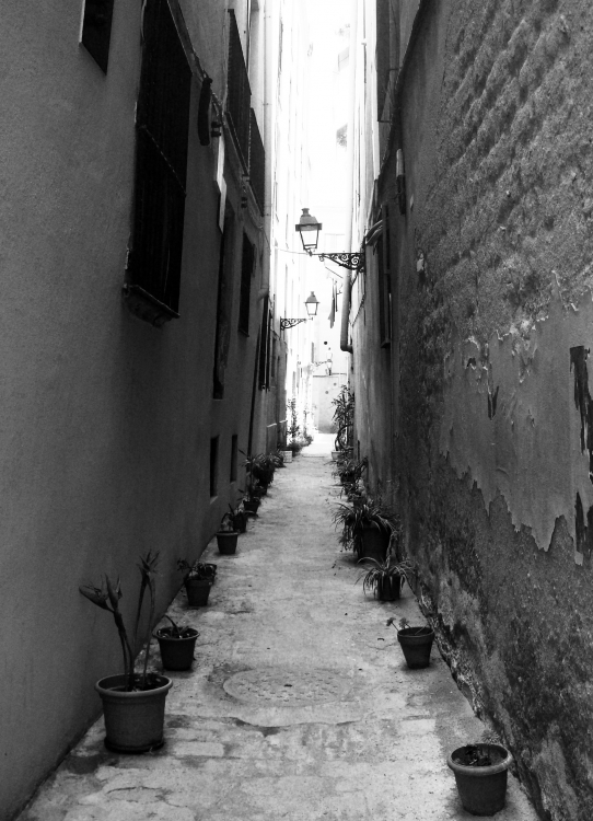 "Calle angosta" de Luis Fernando Somma (fernando)