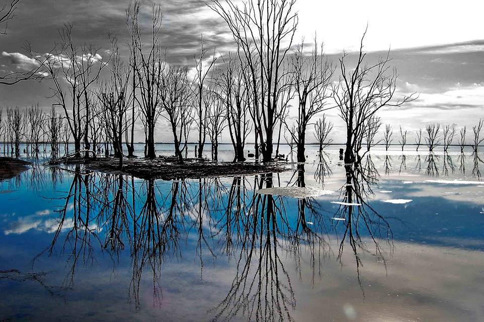 "Reflejos del Epecuen" de Facu Corol