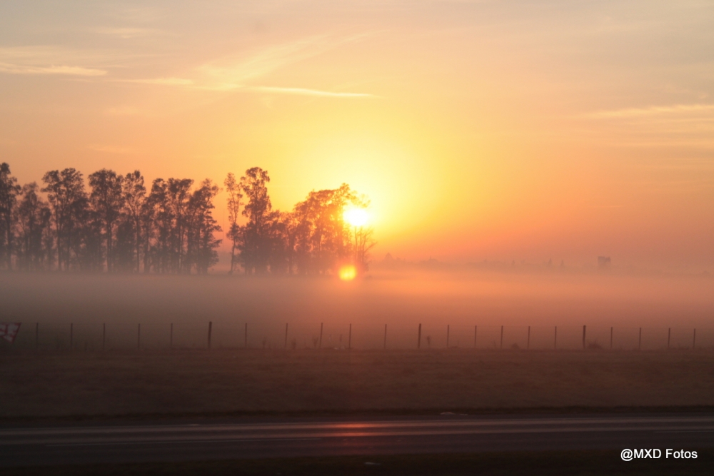 "Amanece en la ruta" de Marina Ximena Donnet