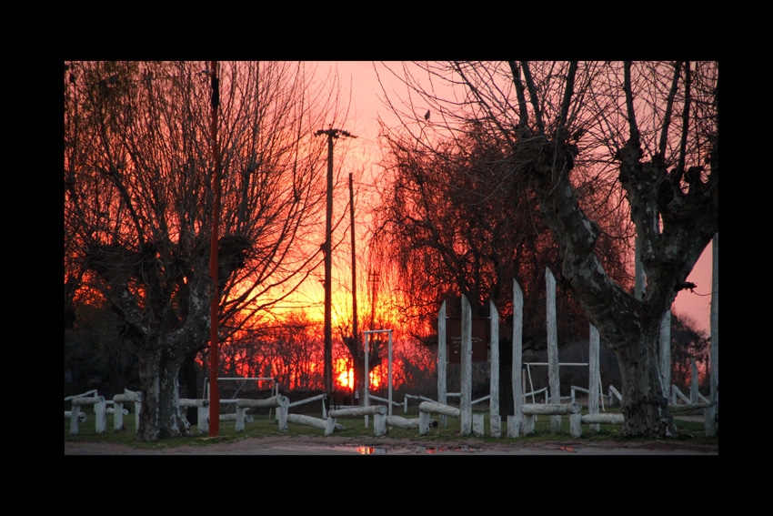 "atardecer de naranja y amarillo" de Vernica Dana