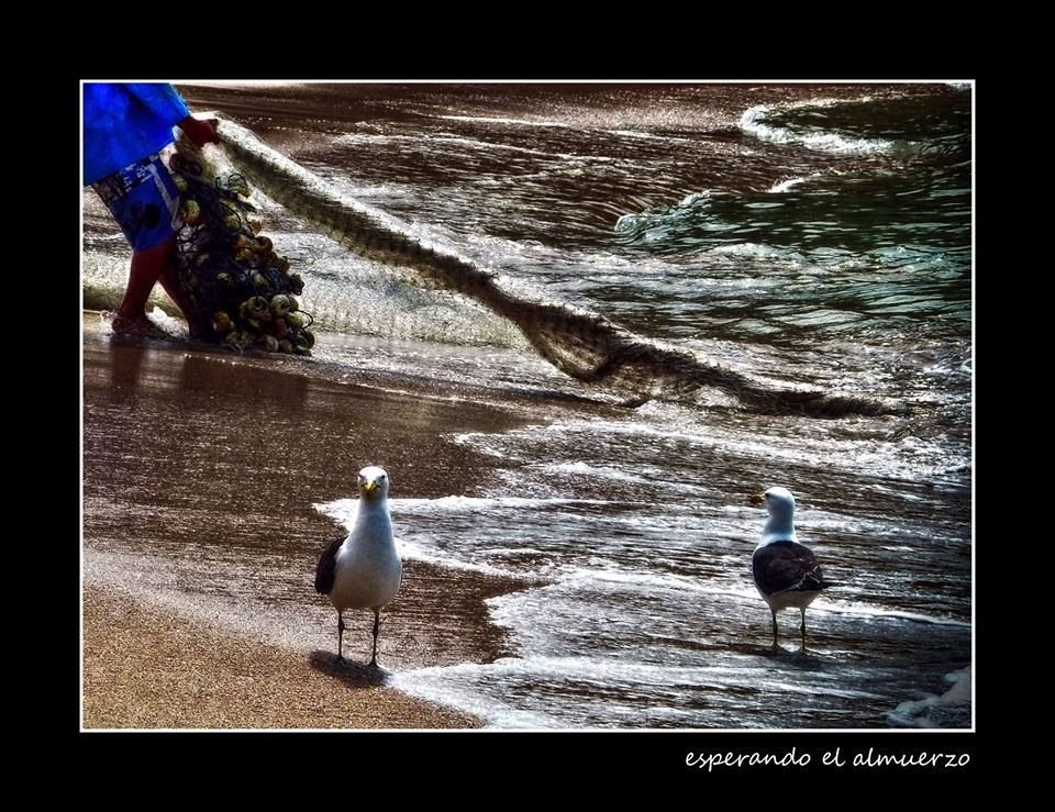 "Esperando el Almuerzo" de Claudio Salvagni