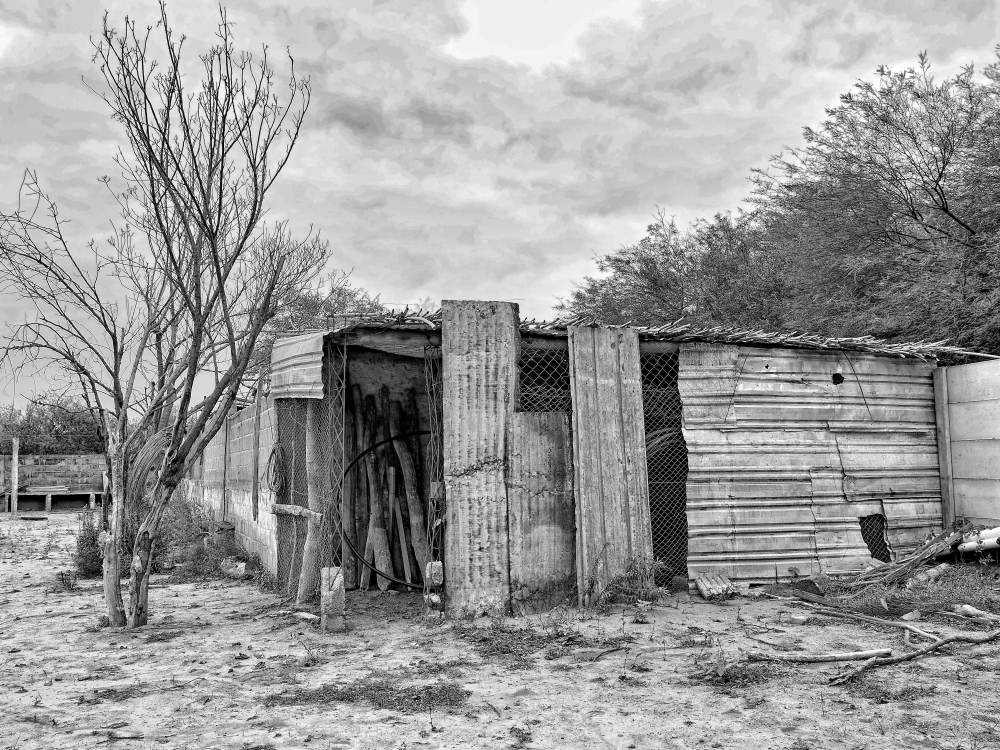 "Abandono" de Luis Escobar