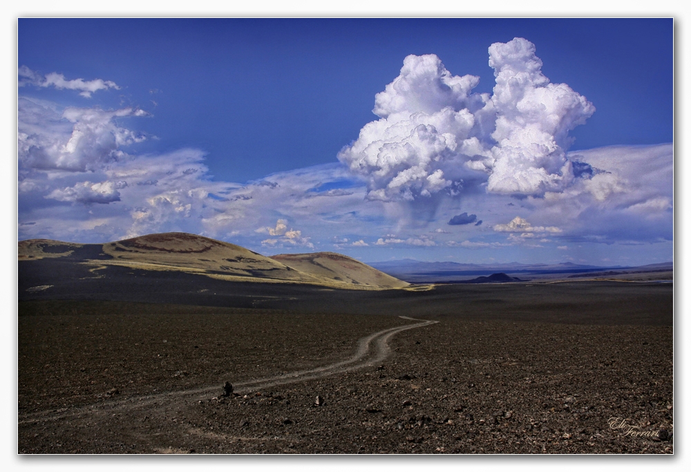 "La Payunia: Tierra de volcanes" de Eli - Elisabet Ferrari