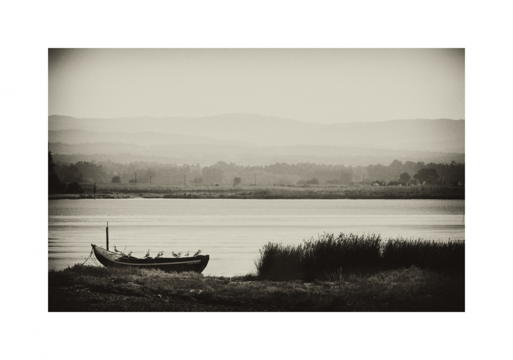 "O Barco" de Luis Raposo