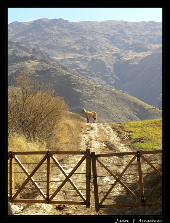 "paisaje tucumano" de Juan Francisco Arrachea