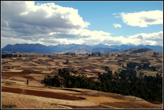 "Chinchero Per" de Margarita Amerio