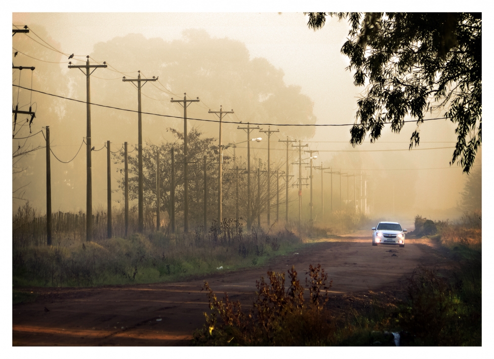 "Saliendo de la niebla" de Fernando Valdez Vazquez