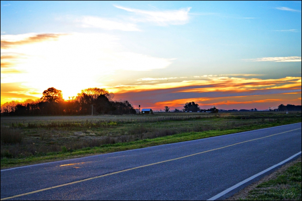 "En el camino......................................" de Maria Laura Bausa