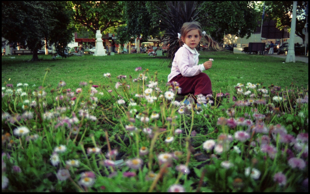 "La flor principal" de Jorge Vicente Molinari