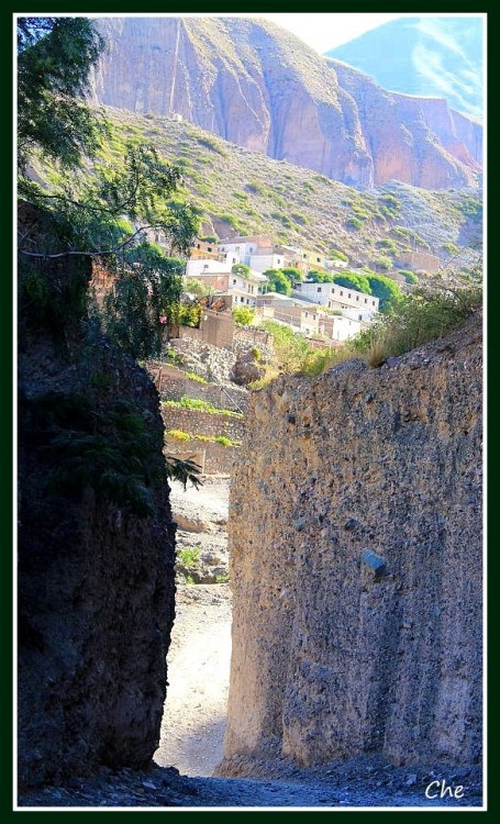 "Sendero del peregrino" de Cecilia Navarro