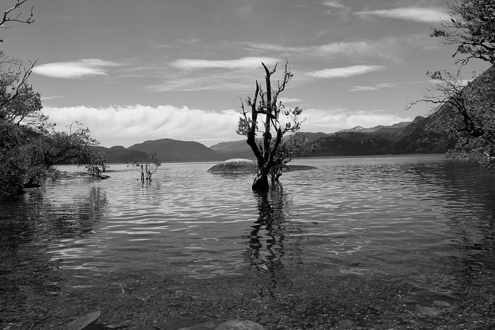 "En el lago" de Silvia Puscama