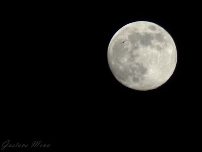 "Luna de Agosto" de Gustavo Rodriguez Mena