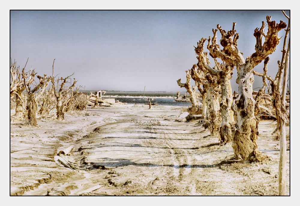 "Desolacin" de Hugo Carlos Torres