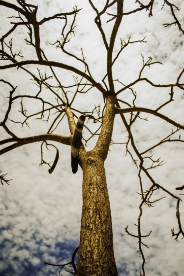 "Hasta el cielo!" de Alisont Pompa Gonzalez