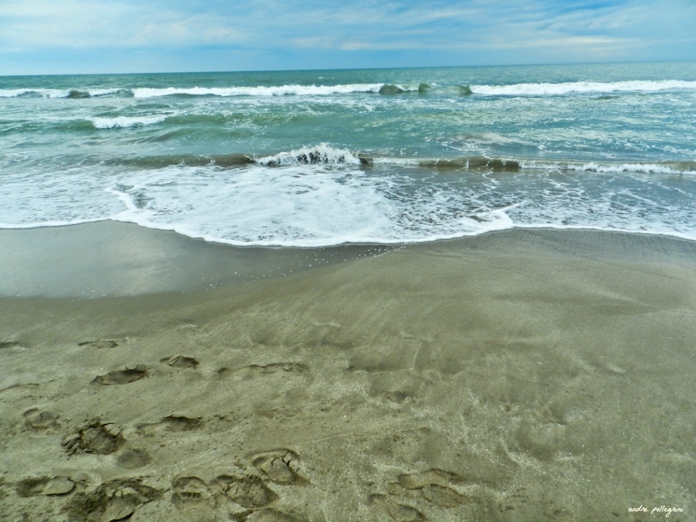 "Si quieres tener el Mar ..Contmplalo" de Andrea Pellegrini