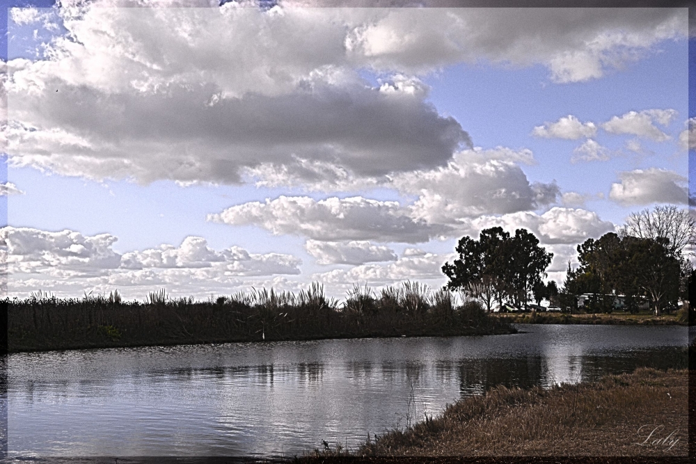 "Cielo de algodn...." de Maria Laura Bausa