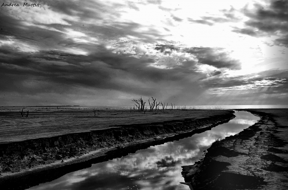 "Nubes en el agua!" de Andrea Maria J Muttis