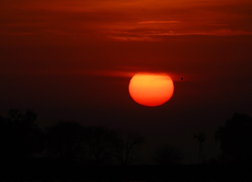 "intenso amanecer" de Luis Silva