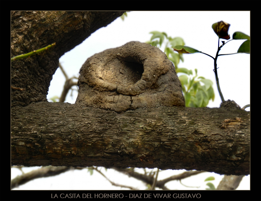 "La casita del hornero - Diaz de vivar gustavo" de Gustavo Diaz de Vivar