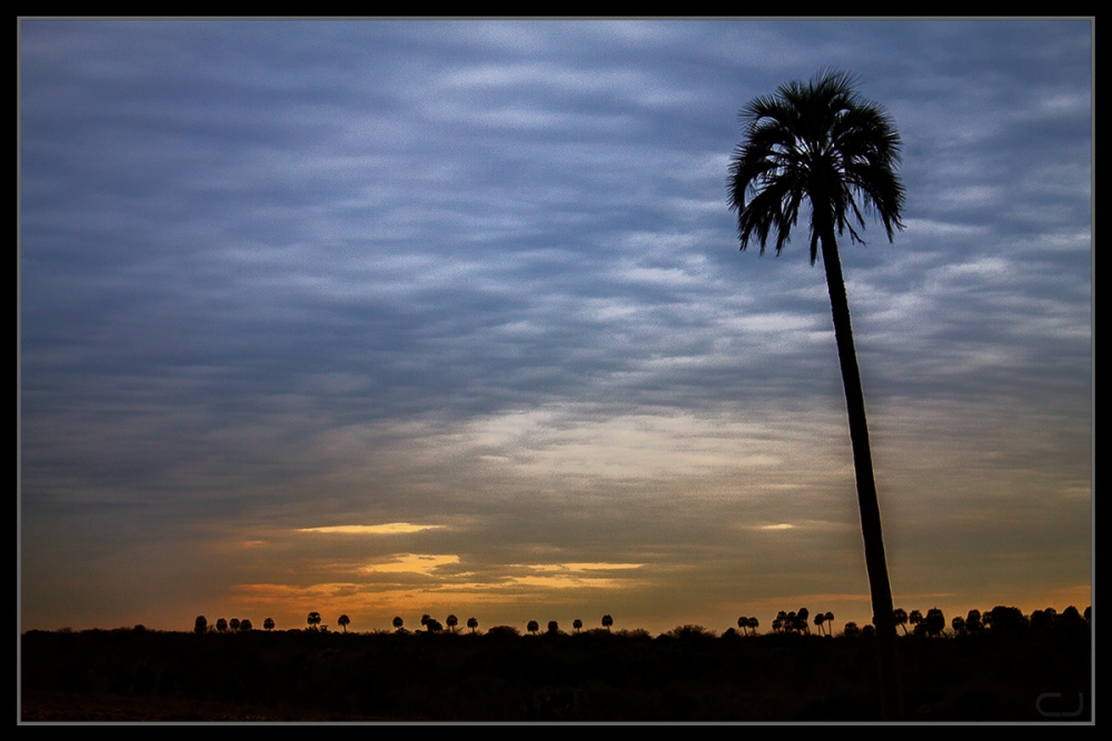 "Un atardecer diferente" de Claudio Jord