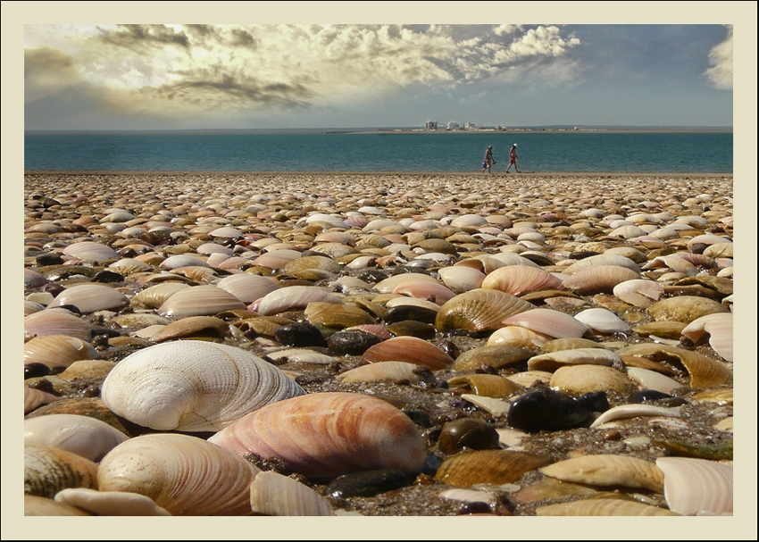 "Playa de caracolas" de Susana Montironi