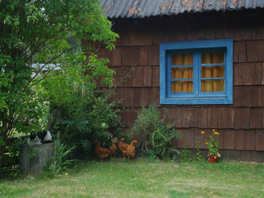 "Casita en la cordillera" de Carmen Astutti