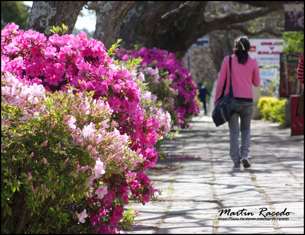 "A tono" de Martin Racedo