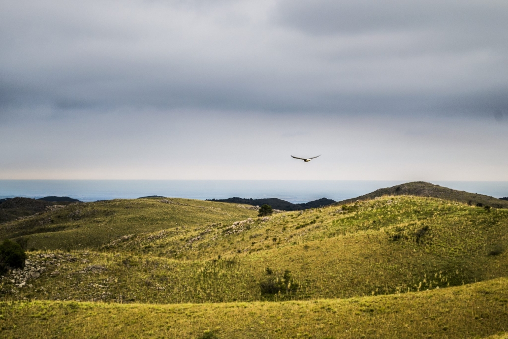 "Volando Bajo..." de Walter M. Baigorria