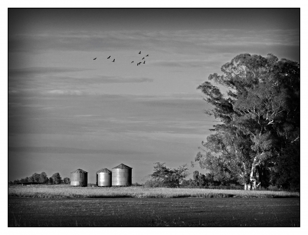 "Los silos" de Fernando Valdez Vazquez