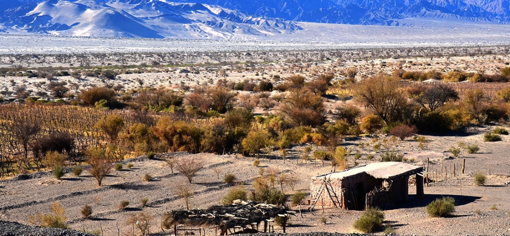 "Vivir el desierto" de Juan Daniel Rodriguez