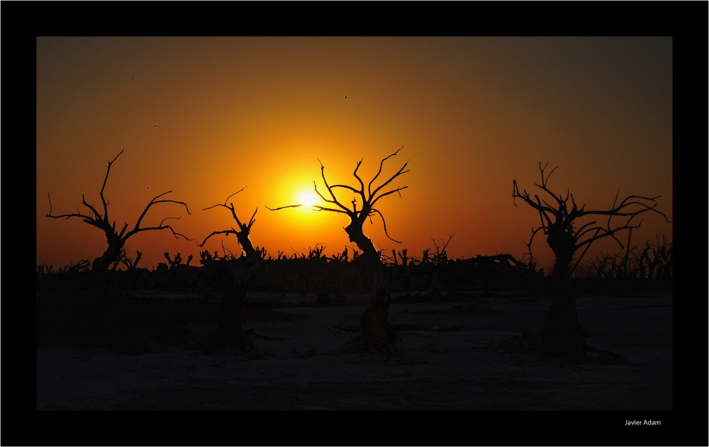 "siluetas al atardecer" de Javier Adam