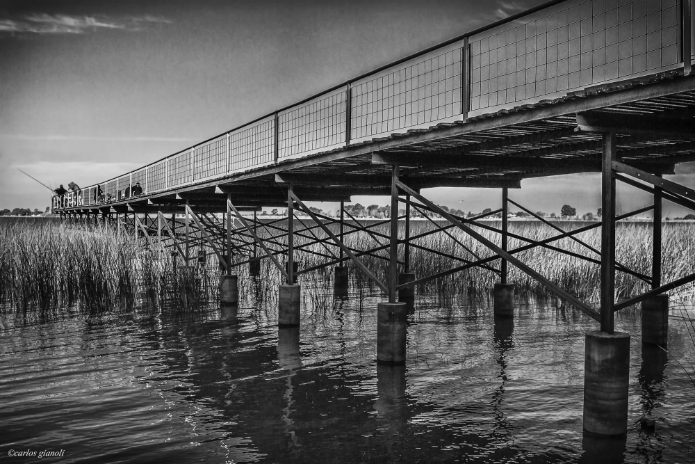 "Muelle de pescadores" de Carlos Gianoli