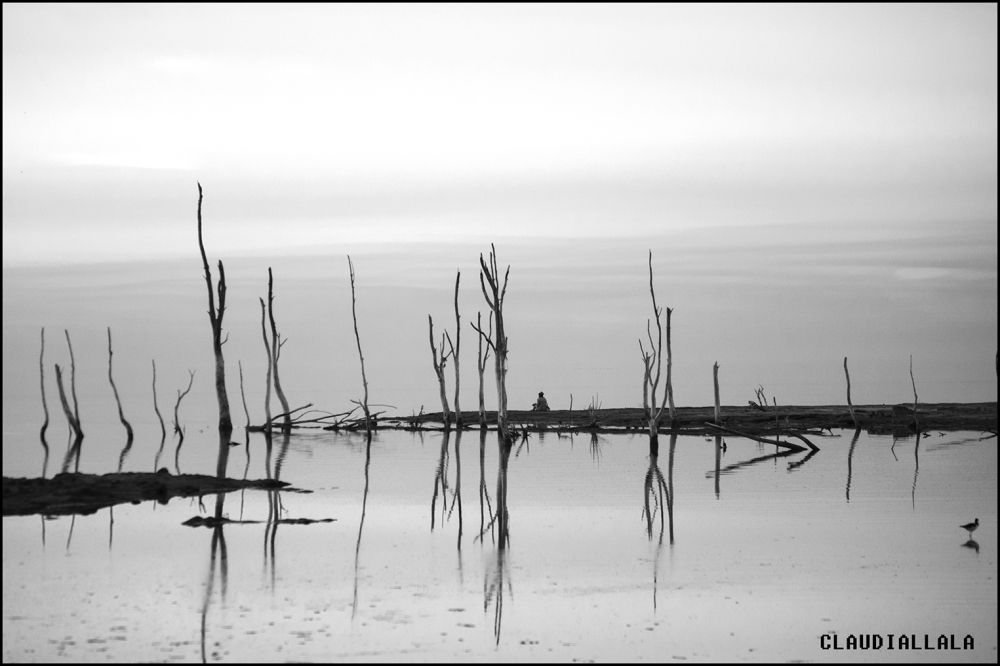 "Entre el cielo y la tierra..." de Claudia Alejandra Allala