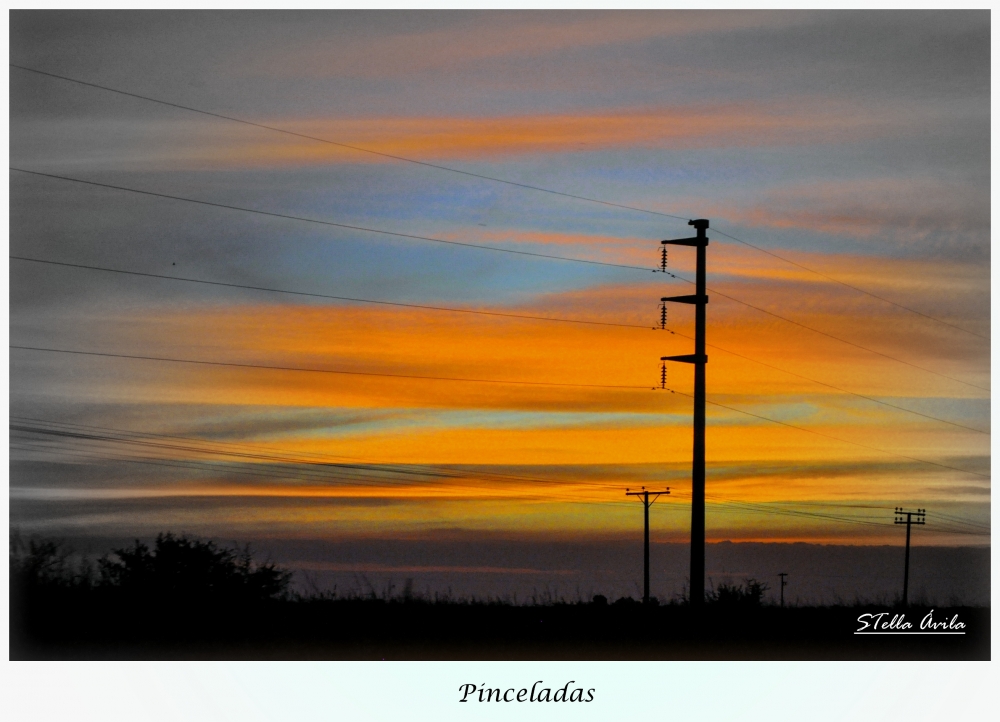 "Pinceladas" de Stella Avila