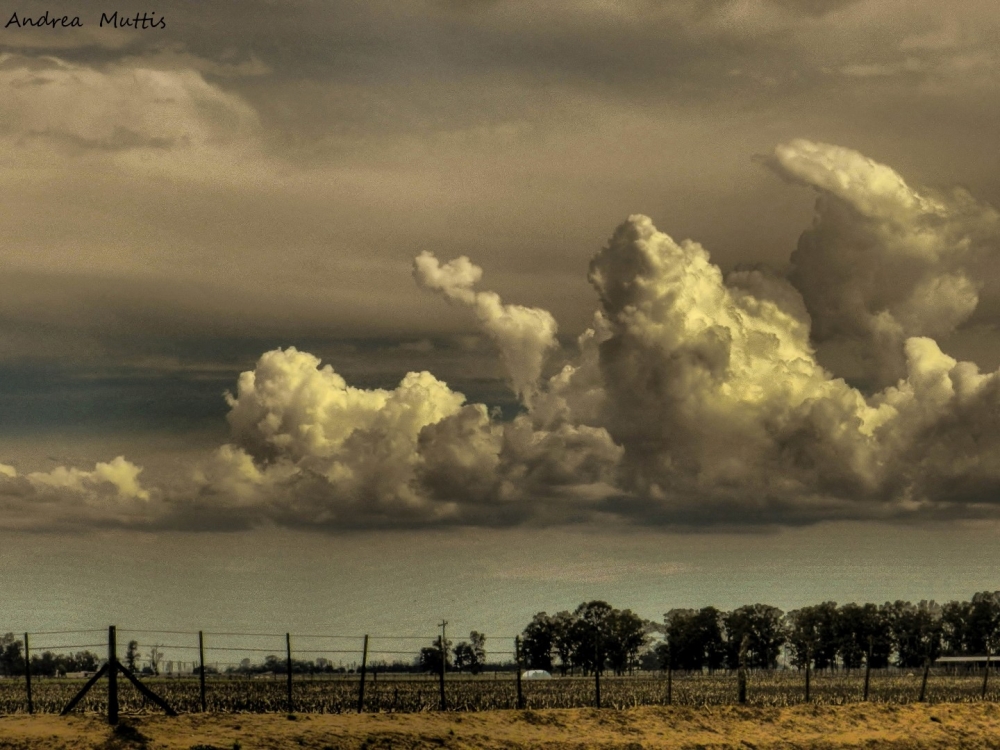 "Pronstico ....lluvias!!" de Andrea Maria J Muttis