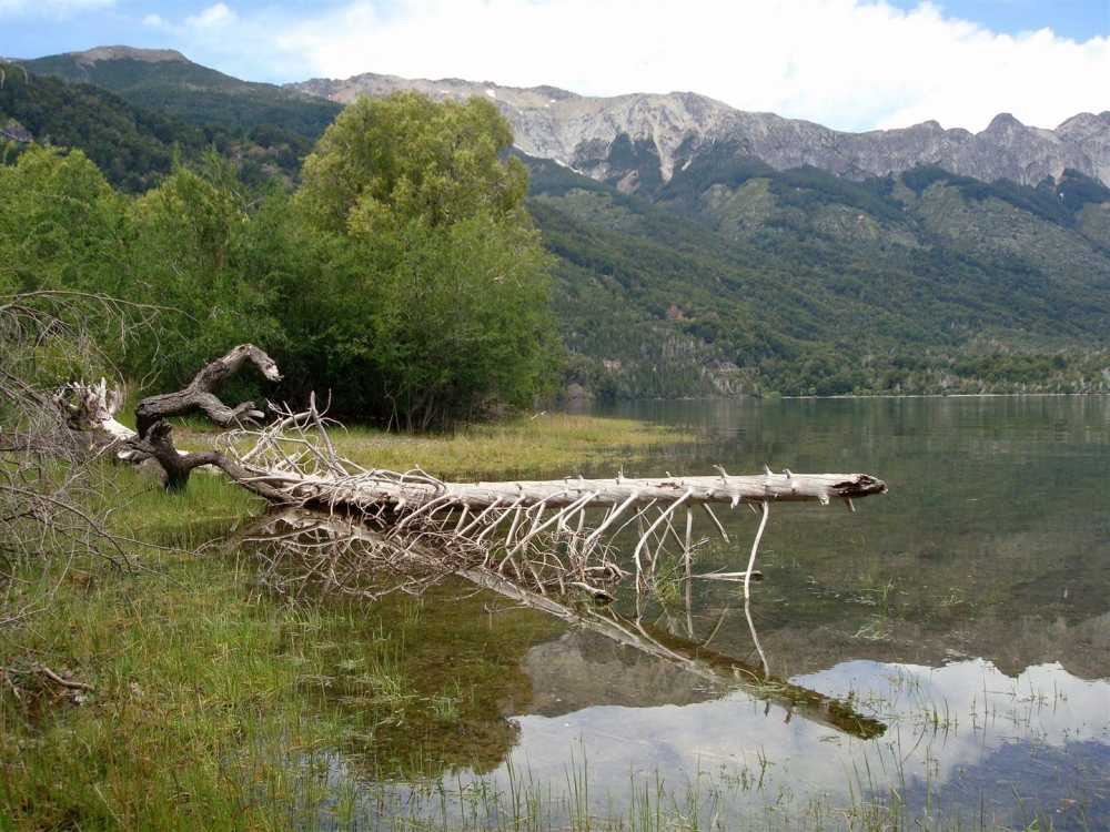 ".. en un lulgar del lago..." de Carmen Astutti